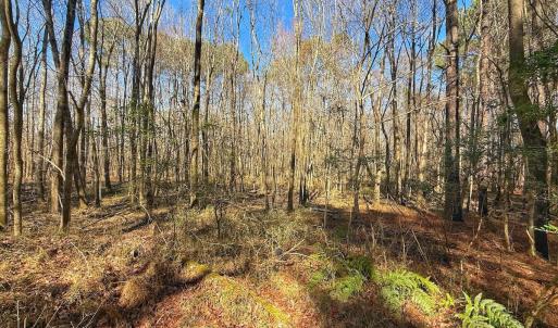 Photo #26 of off Indian Trail Rd - Lot 1, Nashville, NC 4.6 acres