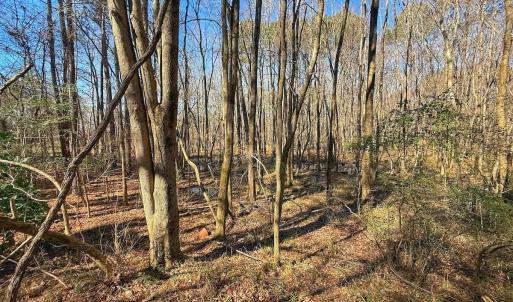 Photo #27 of off Indian Trail Rd - Lot 1, Nashville, NC 4.6 acres