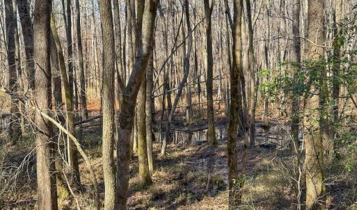 Photo #28 of off Indian Trail Rd - Lot 1, Nashville, NC 4.6 acres