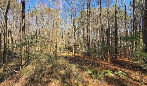 Photo #29 of off Indian Trail Rd - Lot 1, Nashville, NC 4.6 acres