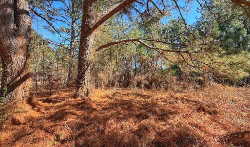 Photo #20 of off Indian Trail Rd - Lot 2, Nashville, NC 4.2 acres