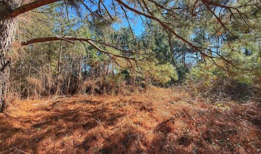 Photo #22 of off Indian Trail Rd - Lot 2, Nashville, NC 4.2 acres