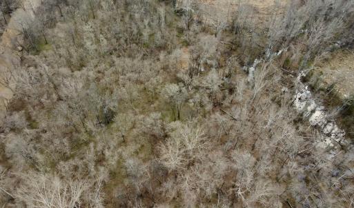 Photo #13 of Off Longs Mill Road - Lot 1, Blanch, NC 35.5 acres