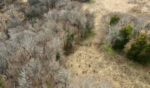 Photo #17 of Off Longs Mill Road - Lot 1, Blanch, NC 35.5 acres