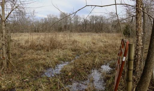Photo #19 of Off Longs Mill Road - Lot 1, Blanch, NC 35.5 acres