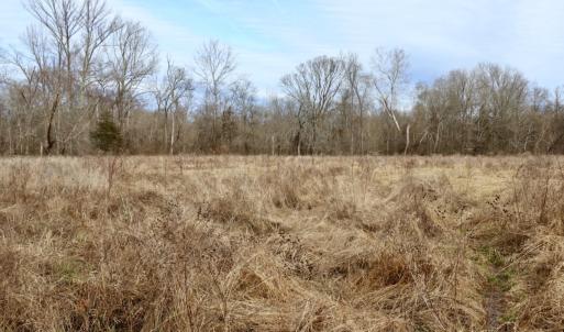 Photo #20 of Off Longs Mill Road - Lot 1, Blanch, NC 35.5 acres