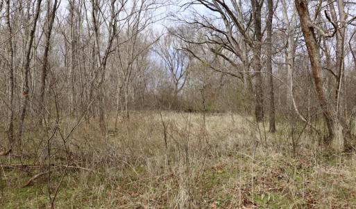 Photo #21 of Off Longs Mill Road - Lot 1, Blanch, NC 35.5 acres