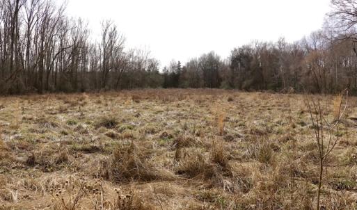 Photo #24 of Off Longs Mill Road - Lot 1, Blanch, NC 35.5 acres