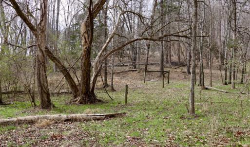 Photo #26 of Off Longs Mill Road - Lot 1, Blanch, NC 35.5 acres
