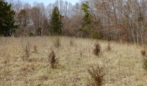 Photo #28 of Off Longs Mill Road - Lot 1, Blanch, NC 35.5 acres