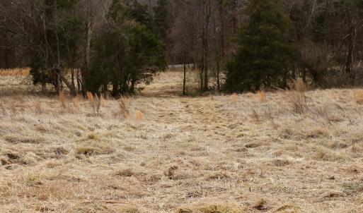 Photo #31 of Off Longs Mill Road - Lot 1, Blanch, NC 35.5 acres