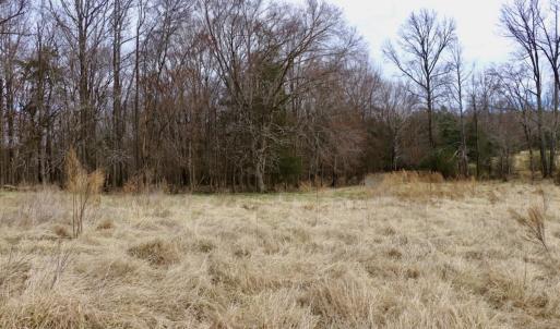 Photo #32 of Off Longs Mill Road - Lot 1, Blanch, NC 35.5 acres