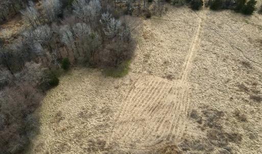 Photo #10 of Off Longs Mill Road - Lot 1, Blanch, NC 35.5 acres