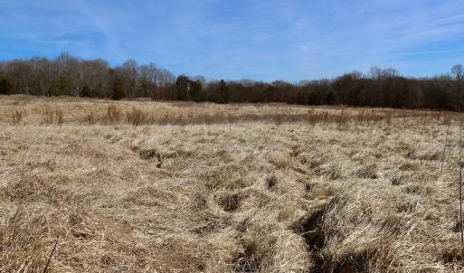 Photo #13 of Off Longs Mill Road - Lot 2, Blanch, NC 10.2 acres