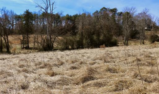 Photo #15 of Off Longs Mill Road - Lot 2, Blanch, NC 10.2 acres