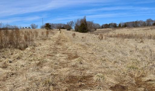 Photo #16 of Off Longs Mill Road - Lot 2, Blanch, NC 10.2 acres