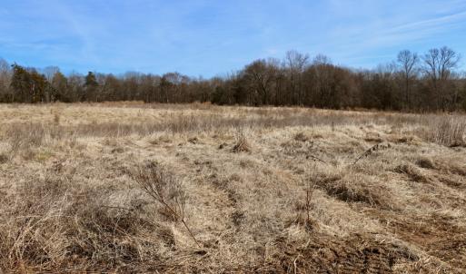 Photo #17 of Off Longs Mill Road - Lot 2, Blanch, NC 10.2 acres