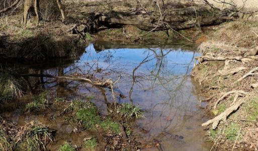 Photo #18 of Off Longs Mill Road - Lot 2, Blanch, NC 10.2 acres