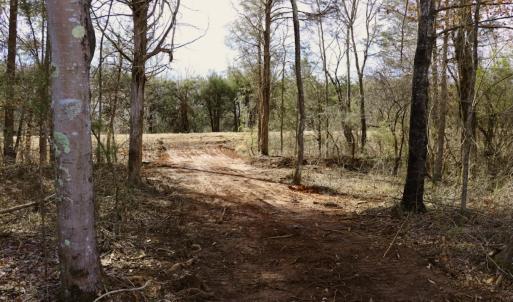 Photo #19 of Off Longs Mill Road - Lot 2, Blanch, NC 10.2 acres