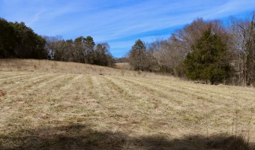 Photo #21 of Off Longs Mill Road - Lot 2, Blanch, NC 10.2 acres