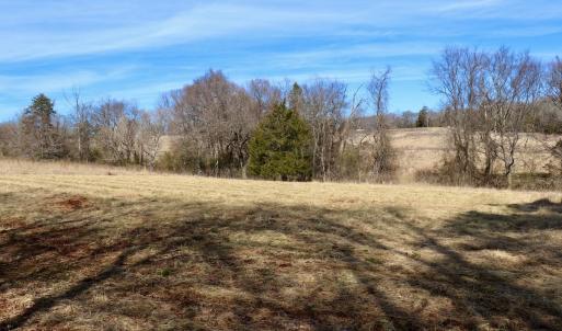Photo #22 of Off Longs Mill Road - Lot 2, Blanch, NC 10.2 acres