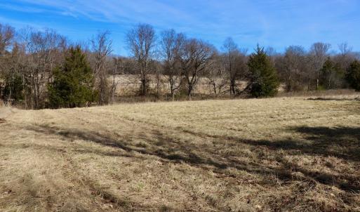 Photo #23 of Off Longs Mill Road - Lot 2, Blanch, NC 10.2 acres