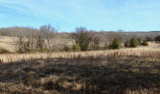 Photo #24 of Off Longs Mill Road - Lot 2, Blanch, NC 10.2 acres