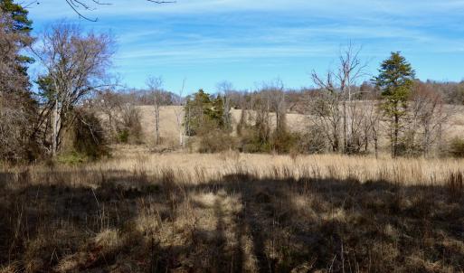 Photo #25 of Off Longs Mill Road - Lot 2, Blanch, NC 10.2 acres