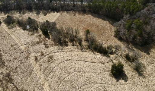 Photo #7 of Off Longs Mill Road - Lot 2, Blanch, NC 10.2 acres