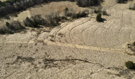 Photo #8 of Off Longs Mill Road - Lot 2, Blanch, NC 10.2 acres