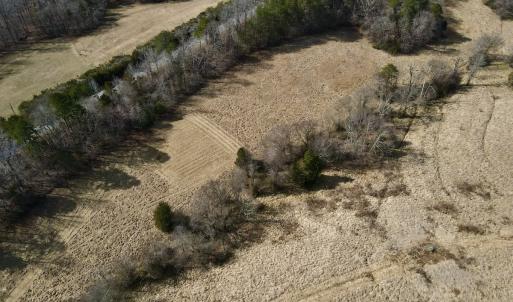 Photo #10 of Off Longs Mill Road - Lot 2, Blanch, NC 10.2 acres