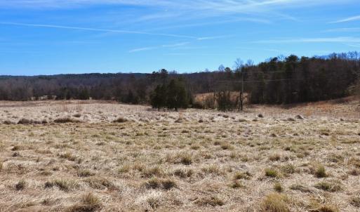 Photo #14 of Off Bill Compton Road and Longs Mill Road - Lot 3, Blanch, NC 10.2 acres