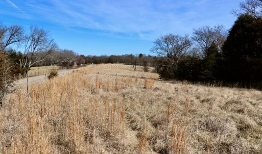 Photo #15 of Off Bill Compton Road and Longs Mill Road - Lot 3, Blanch, NC 10.2 acres