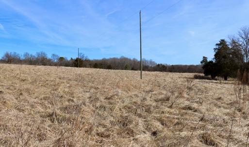 Photo #17 of Off Bill Compton Road and Longs Mill Road - Lot 3, Blanch, NC 10.2 acres