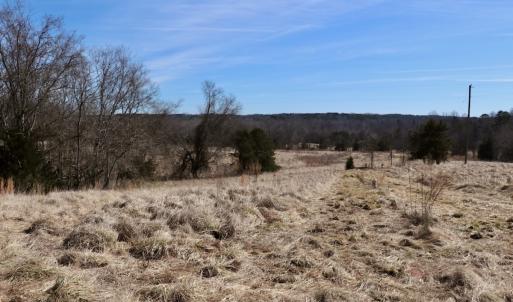 Photo #18 of Off Bill Compton Road and Longs Mill Road - Lot 3, Blanch, NC 10.2 acres