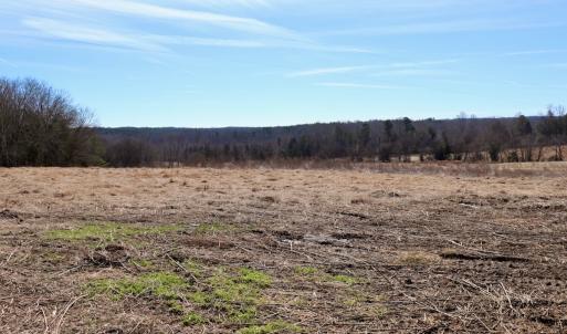 Photo #14 of Off Bill Compton Road - Lot 4, Blanch, NC 10.2 acres