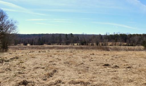 Photo #16 of Off Bill Compton Road - Lot 4, Blanch, NC 10.2 acres