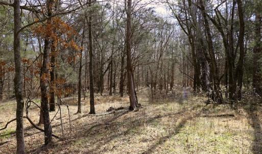Photo #17 of Off Bill Compton Road - Lot 4, Blanch, NC 10.2 acres