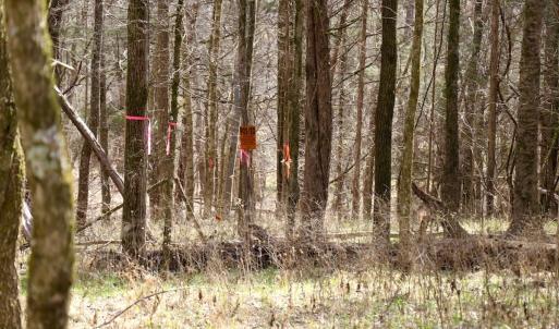 Photo #18 of Off Bill Compton Road - Lot 4, Blanch, NC 10.2 acres