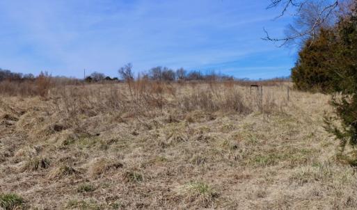 Photo #21 of Off Bill Compton Road - Lot 4, Blanch, NC 10.2 acres