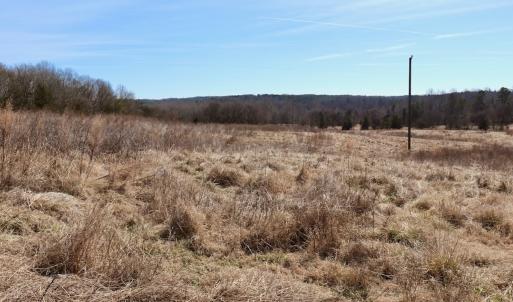 Photo #23 of Off Bill Compton Road - Lot 4, Blanch, NC 10.2 acres