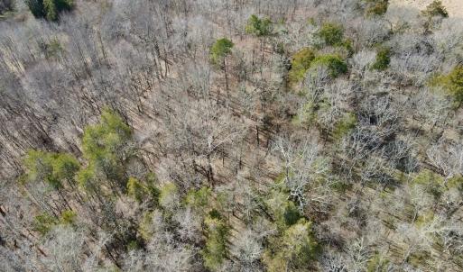 Photo #5 of Off Bill Compton Road - Lot 4, Blanch, NC 10.2 acres