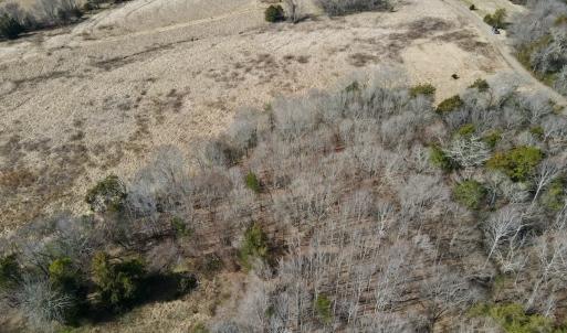 Photo #6 of Off Bill Compton Road - Lot 4, Blanch, NC 10.2 acres