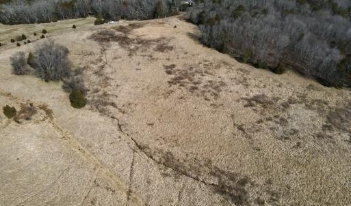 Photo #8 of Off Bill Compton Road - Lot 4, Blanch, NC 10.2 acres