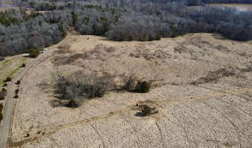 Photo #9 of Off Bill Compton Road - Lot 4, Blanch, NC 10.2 acres