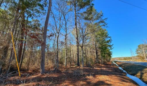 Photo #25 of off Hwy 305, Rich Square, NC 1.0 acres