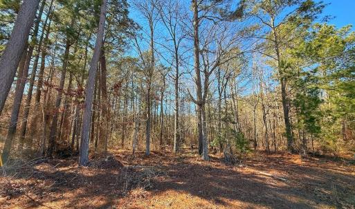 Photo #26 of off Hwy 305, Rich Square, NC 1.0 acres