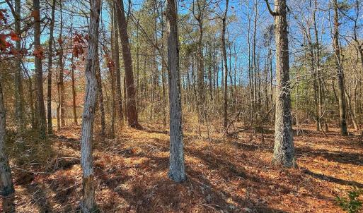 Photo #27 of off Hwy 305, Rich Square, NC 1.0 acres