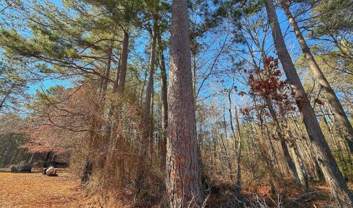 Photo #29 of off Hwy 305, Rich Square, NC 1.0 acres