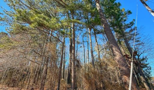 Photo #30 of off Hwy 305, Rich Square, NC 1.0 acres